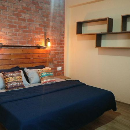 White Rabbit Guest House 다람샬라 외부 사진