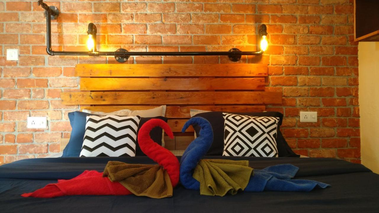 White Rabbit Guest House 다람샬라 외부 사진