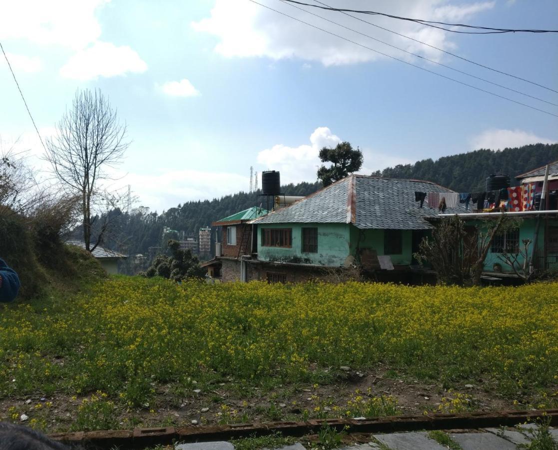 White Rabbit Guest House 다람샬라 외부 사진