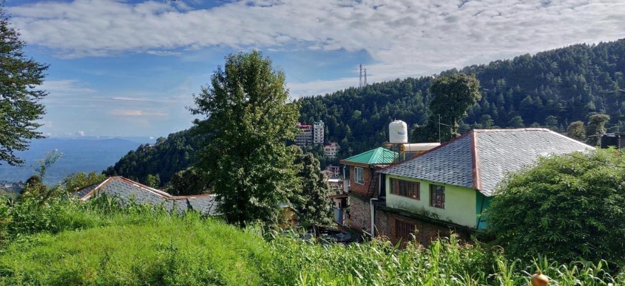 White Rabbit Guest House 다람샬라 외부 사진